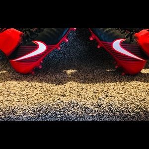 Meet your Posher, Gavin